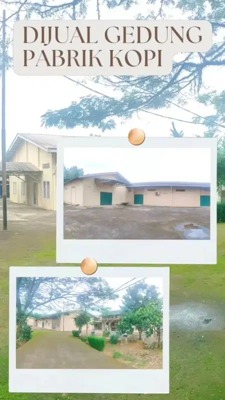 jual pabrik kopi palembang