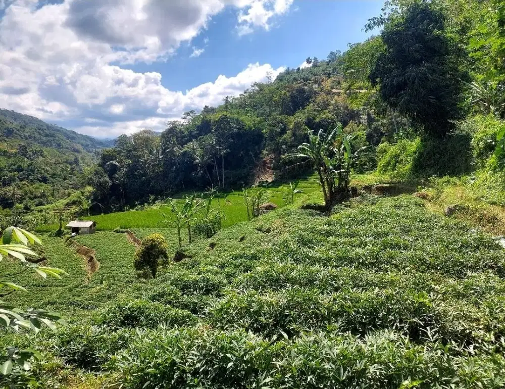 Tanah view bagus, Akses mobil, Ciherang sumedang