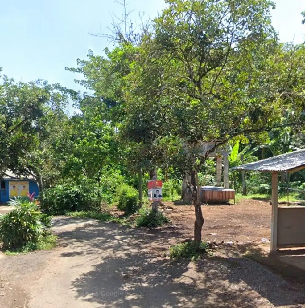 TANAH KEBUN SHM LOKASI SERUT PANTI JEMBER