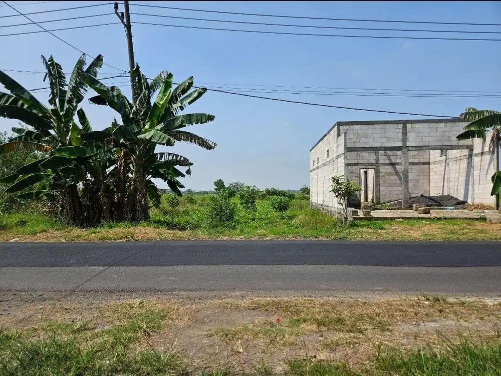 Tanah pinggir jl raya dekat pasar balong panggang
