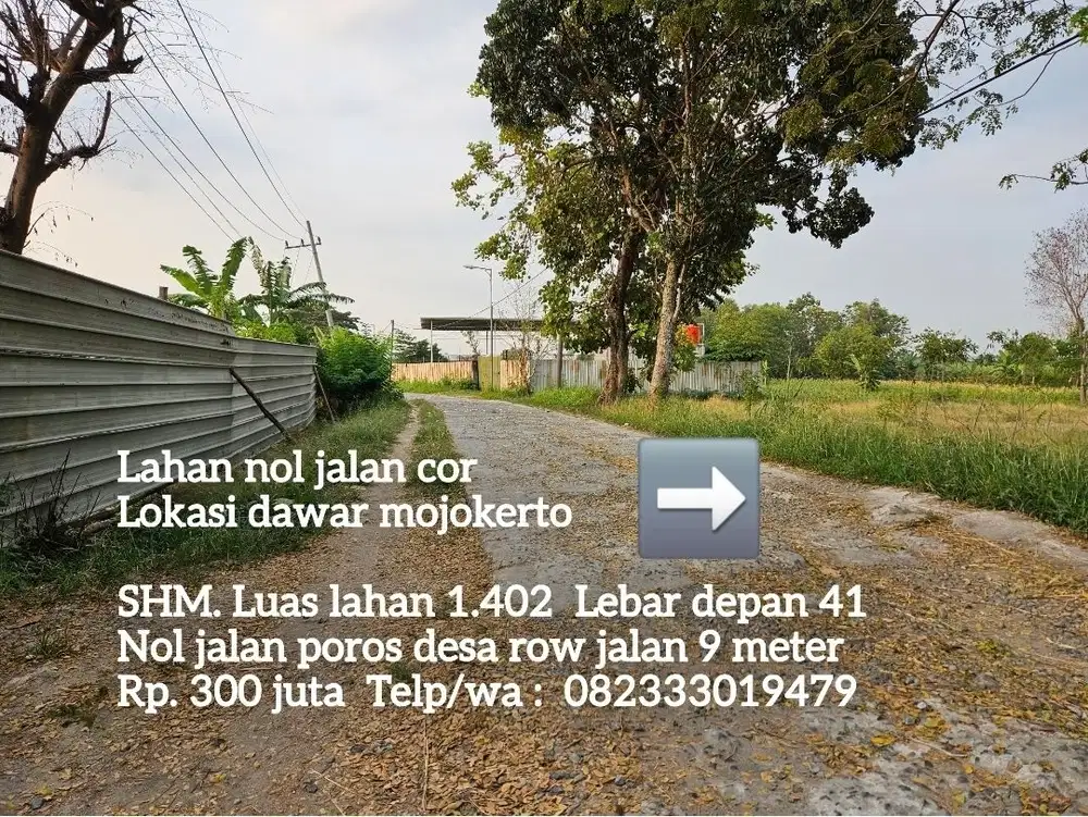 Tanah pinggir jalan cocok di buat kandang sapi, kambing, ayam
