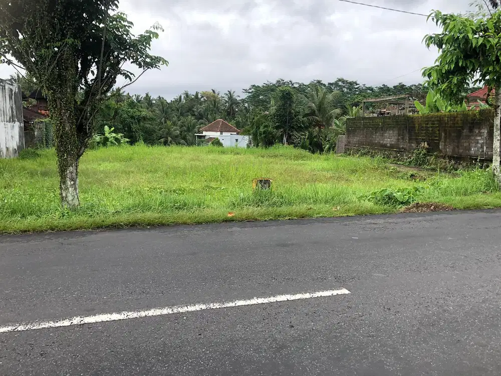 Dijual tanah Tabanan Wanasari Penebel