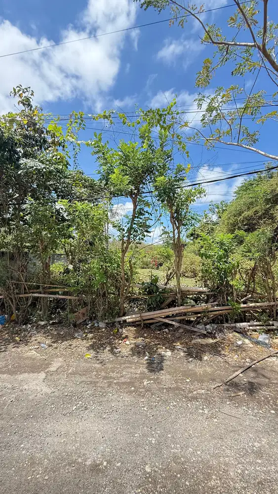 DIJUAL TANAH LUAS LINGKUNGAN VILLA – UNGASAN, BALI