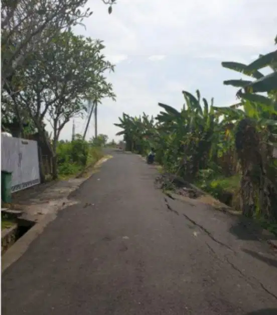 TANAH DI JL TUMBAK BAYU MENGWI BADUNG BALI