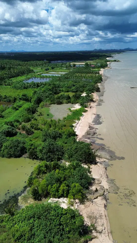 Tanah Hamparan Luas tepi pantai Sungai Duri