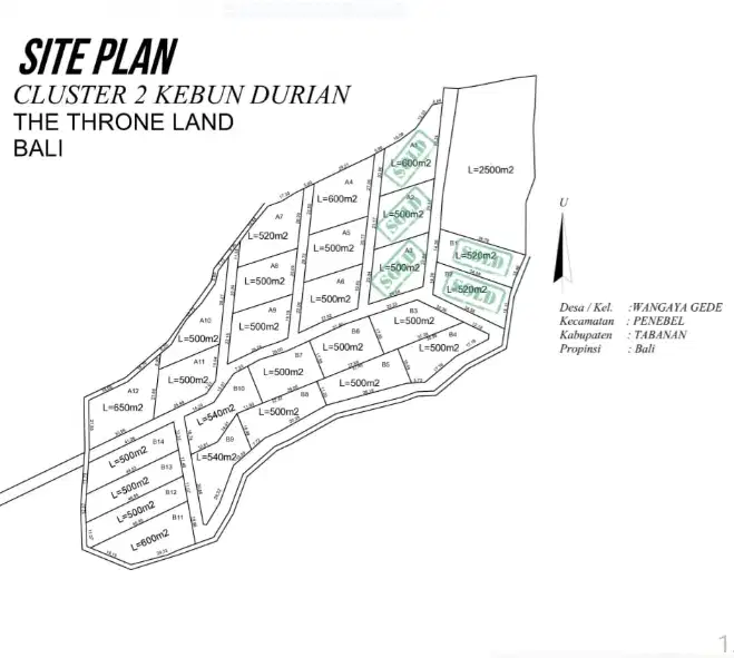 Tanah kavling murah kebun durian penebel Tabanan