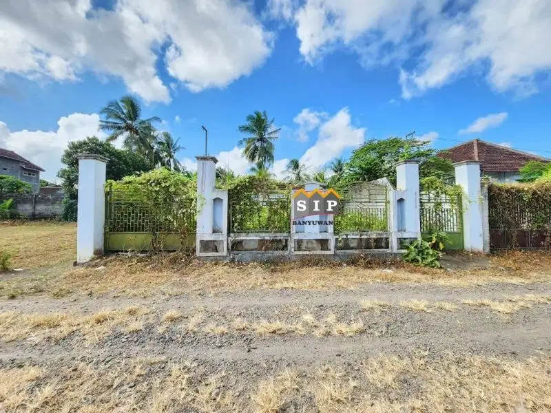 Dijual tanah gratis bangunan di utara bulog wonosobo, Srono Banyuwangi