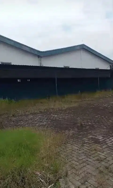 di sewakan gudang cileungsi bogor