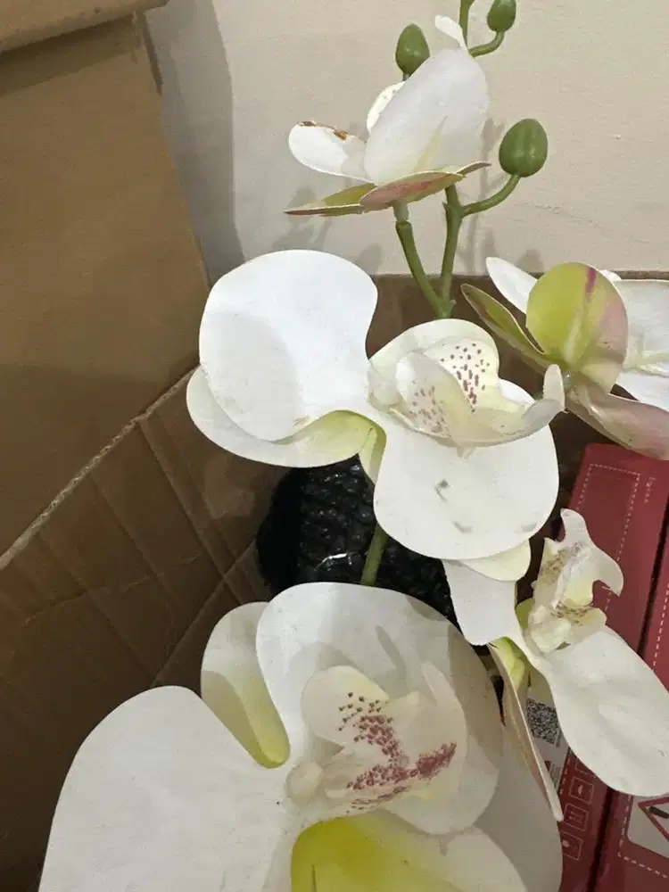 Driver mobil Matic, Pria / Wanita