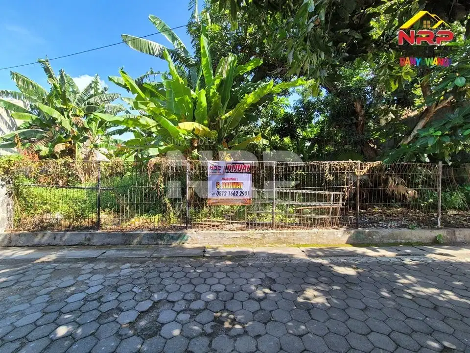 Dijual Tanah Siap Bangun 50 Meter dari Jl. Kepiting  - Banyuwangi