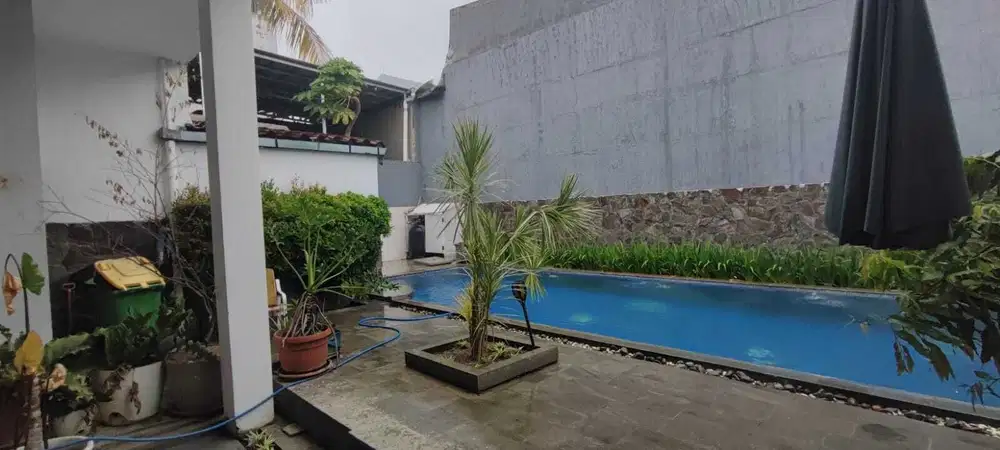 Rumah Mewah jl Tupai 350 MTR dekat Ratulangi Veteran serigala