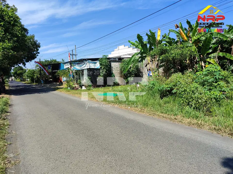 Dijual Tanah Murah di Blambangan Muncar - Banyuwangi