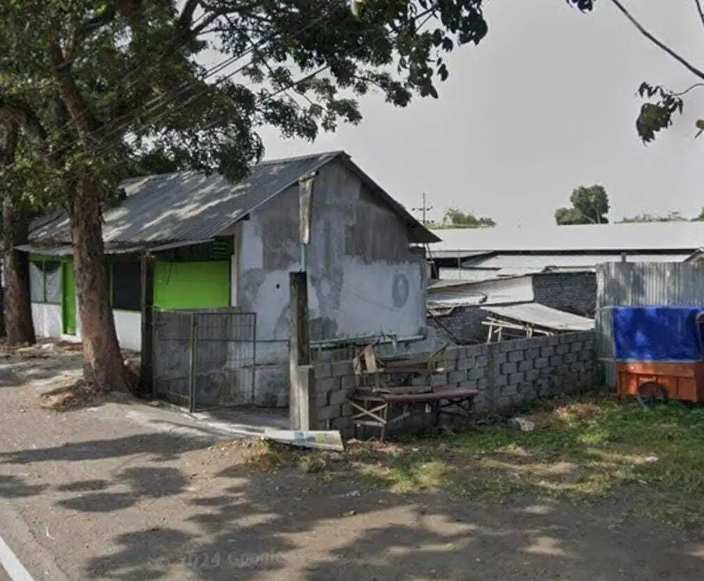 TANAH SHM 663 RAYA TUKUM LUMAJANG