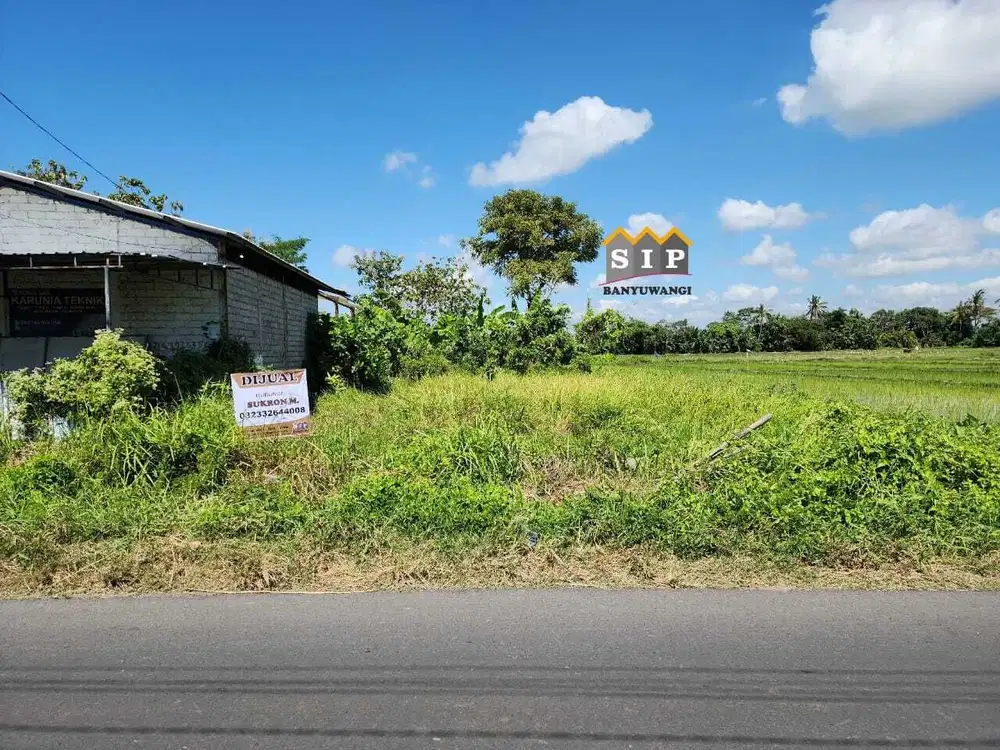 Dijual Tanah di jalan ikan layur Timur Hotel Santika Sobo Banyuwangi