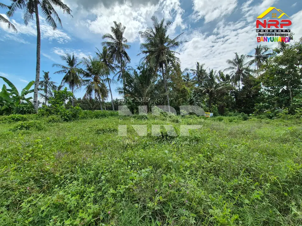 Dijual Tanah Murah Under 100jt di tepi Jl. Watukebo - Banyuwangi