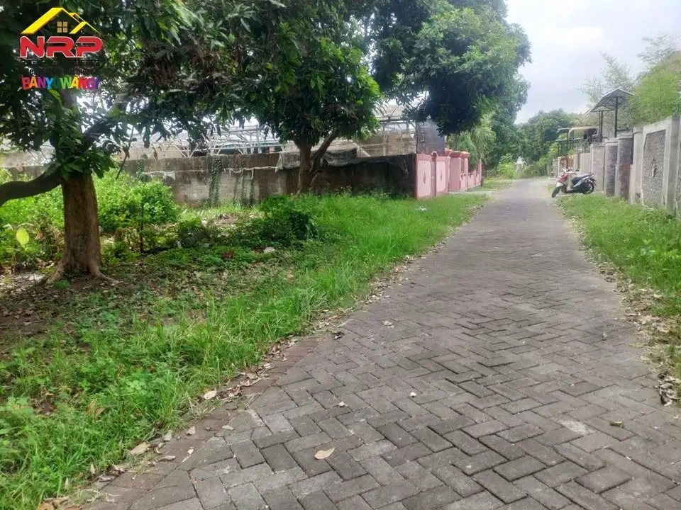 Dijual Tanah Kavling Murah berada di Kawasan Perum. Kebalenan - Bwi