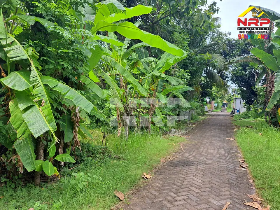 Dijual Tanah Murah 20 Meter dari Jl. Lingkar Ketapang - Banyuwangi