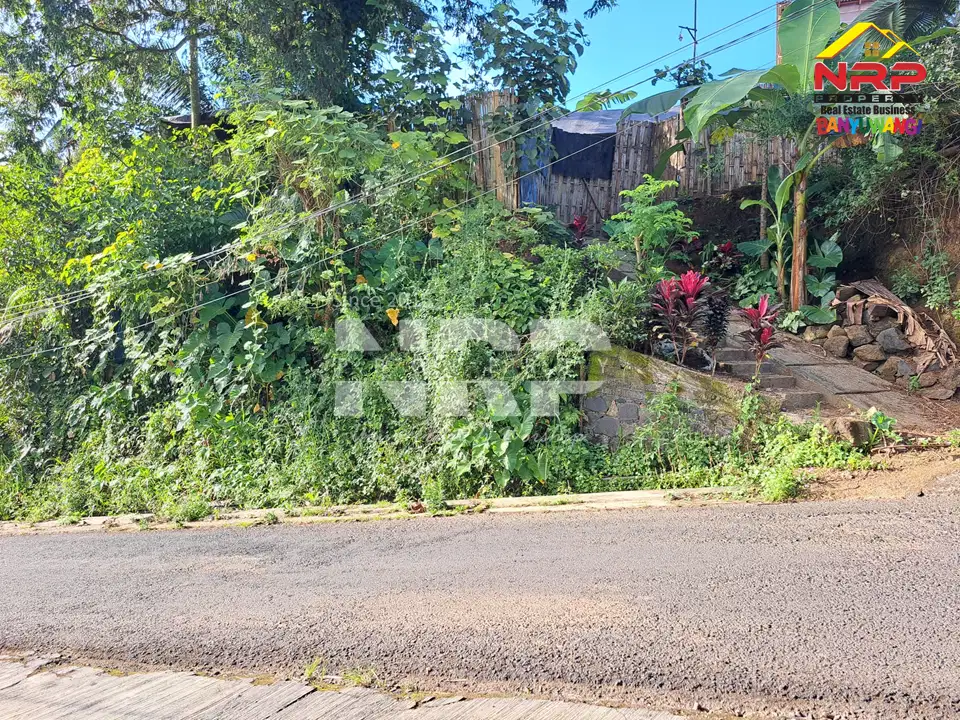 Dijual Tanah 100 jutaan View gunung dan sawah di Licin Banyuwangi