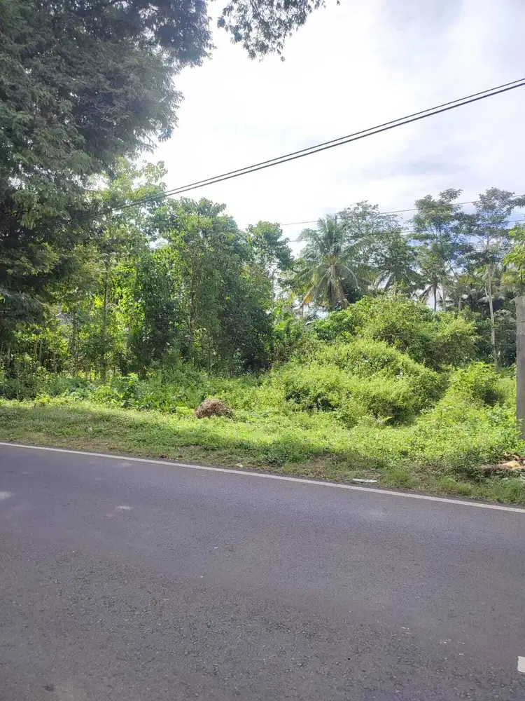Dijual tanah Jln Raya Ijen Bondowoso