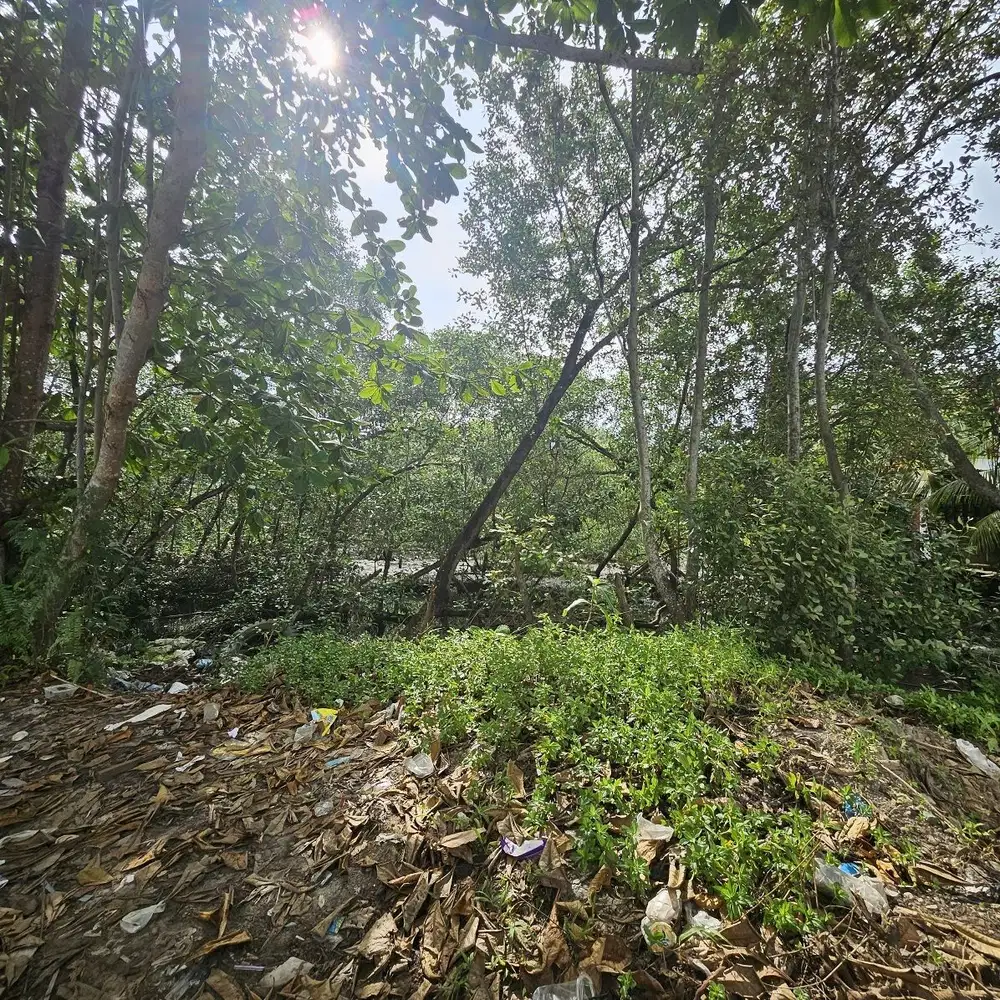 Dijual Tanah Somber Balikpapan