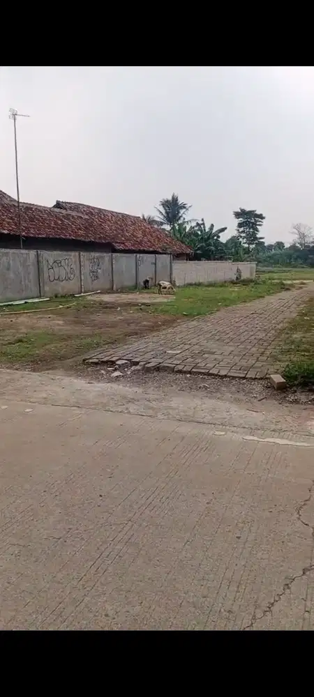 Jual Lahan murah di serang banten