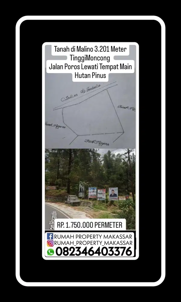 Tanah di  Malino 3.201 Meter TinggiMoncong  Jalan Poros Lewati Pinus