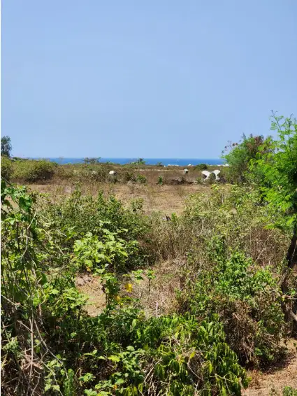 Tanah murah dekat pantai siyut Gianyar