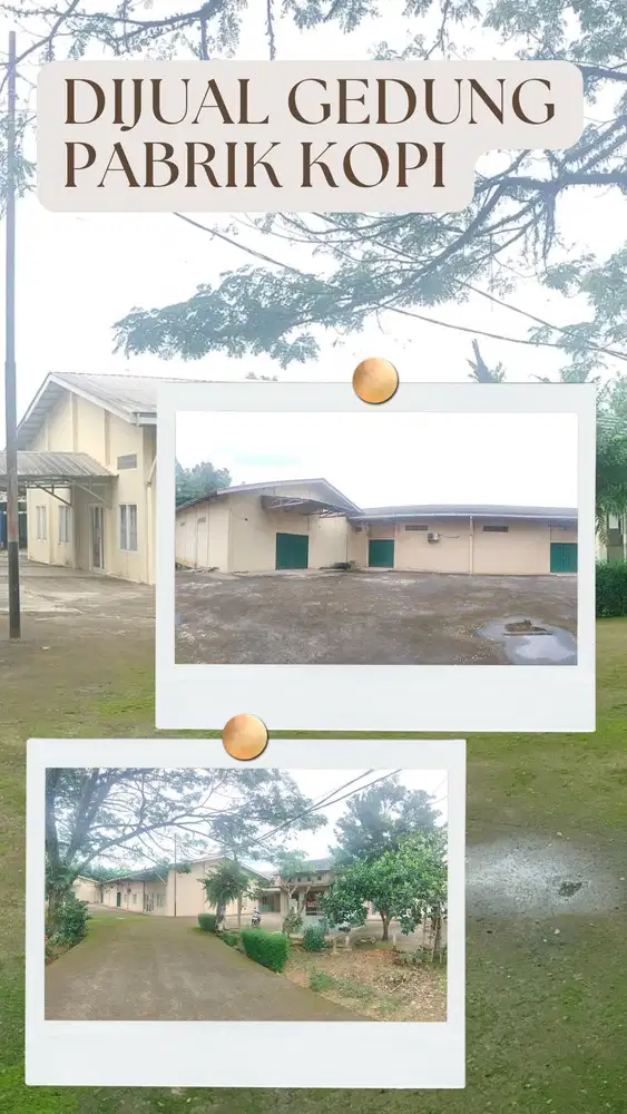 Jual pabrik kopi murah