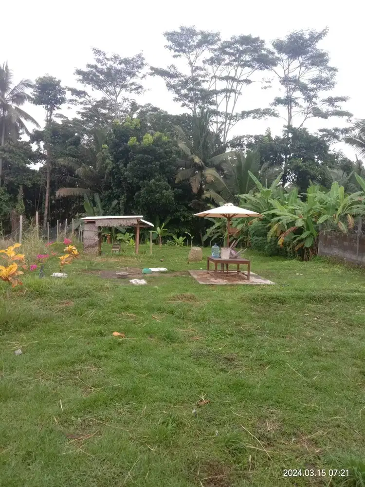 Dijual Tanah View Sawah di Desa Buahan, Tabanan