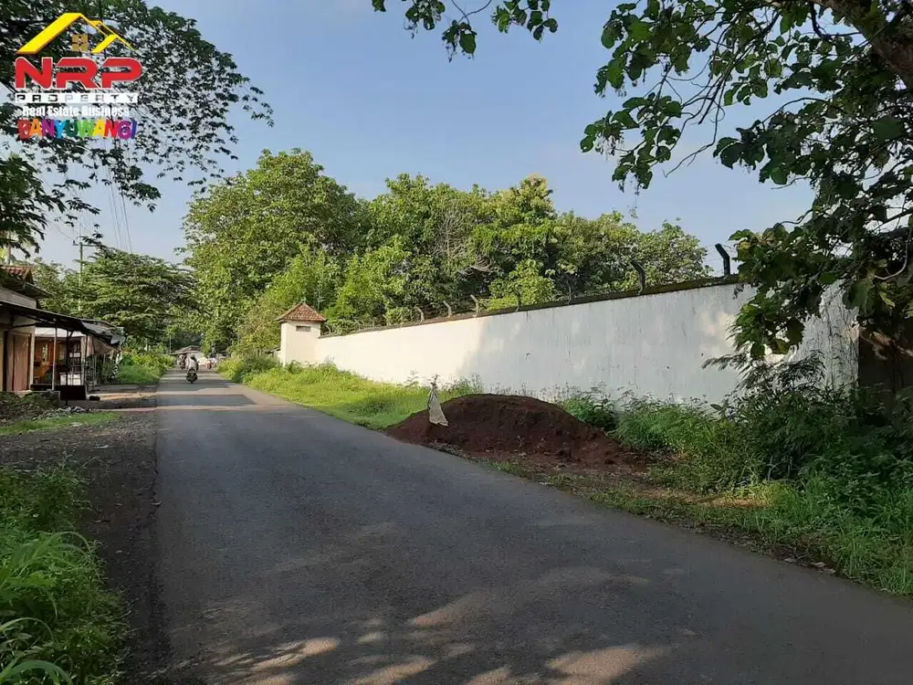 Dijual Tanah Kavling Murah Bisa Cash Tempo di Jl. Benelanlor,Kabat