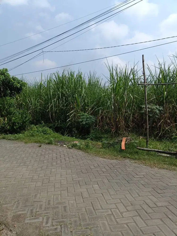 Jual tanah  di Gudo Jombang bagus untuk rumah subsidi , /