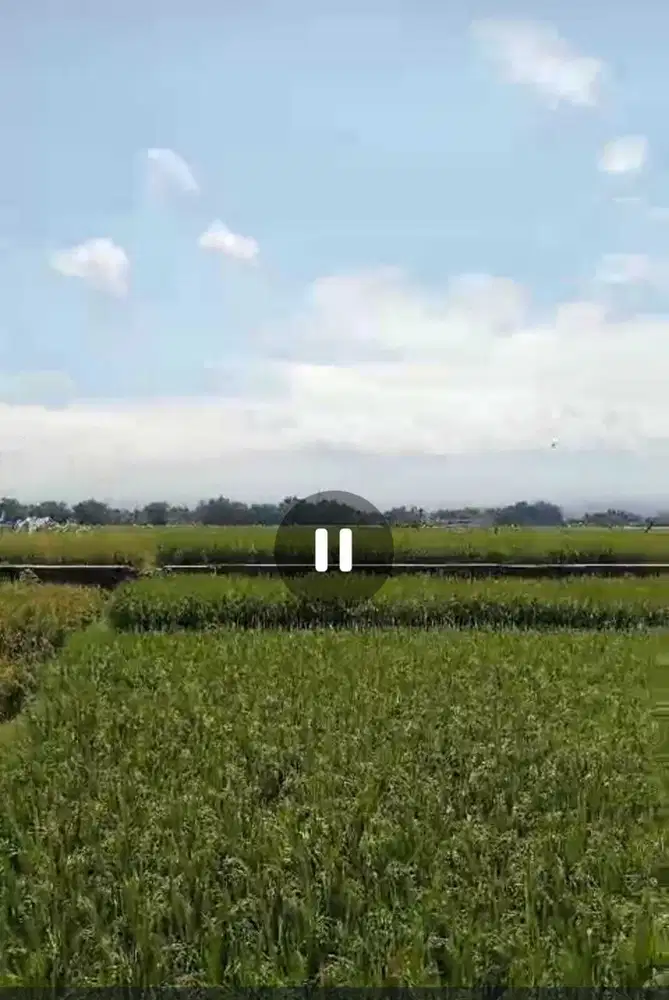 Dijual tanah pertanian Bareng, Jombang