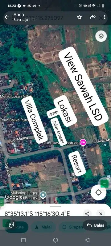 Tanah Best View Hamparan Sawah  Cocok Untuk Villa Kecil