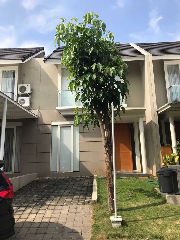 Sewa Rumah 2 Lantai Furnish Di Citragrand Sambiroto Tembalang Semarang