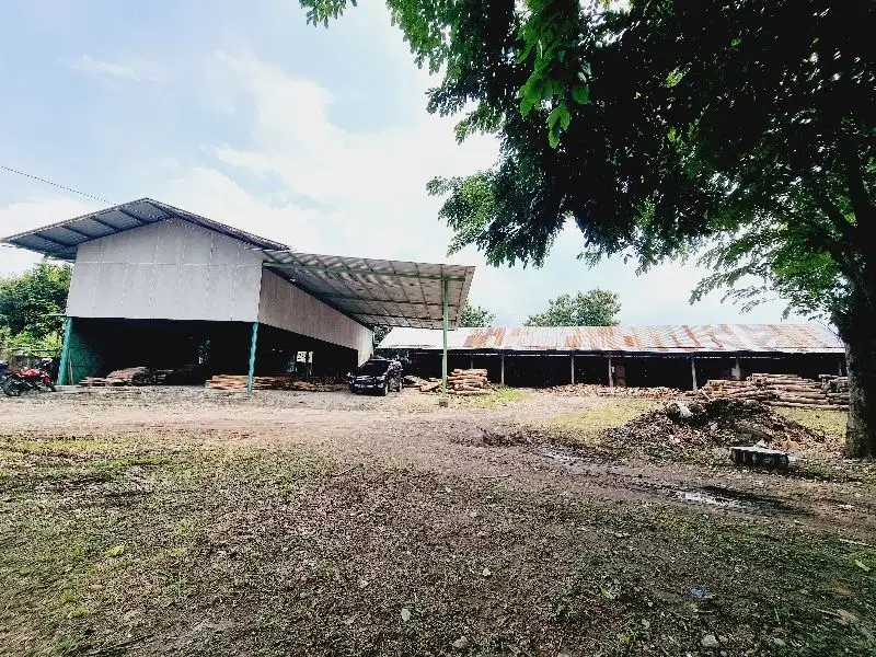 Ruang Usaha Pengergajian Kayu Tepi Jalan Nogosari BYL