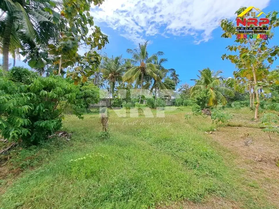 Dijual Tanah Kebun di tepi Jl. Lingkar Ketapang - Banyuwangi