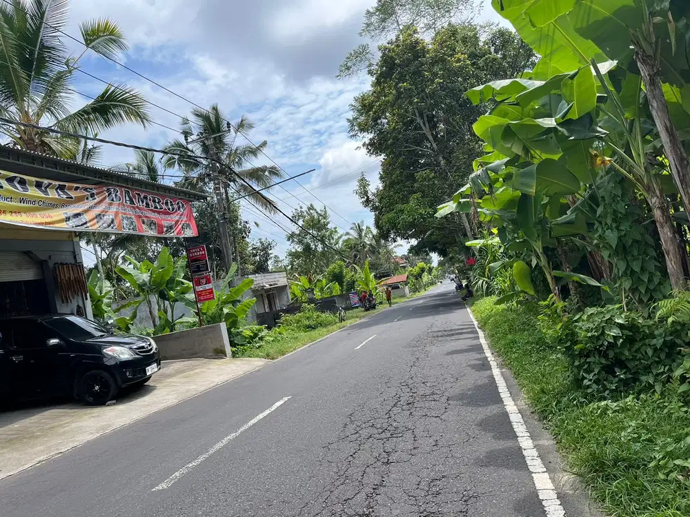 UC Dijual Tanah lokasi berada dilingkungan tenang dan nyaman Payangan