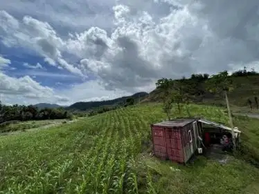 Dijual Perkebunan Seluas 2.000 m2 DI Totabuan - Sulawesi Utara!