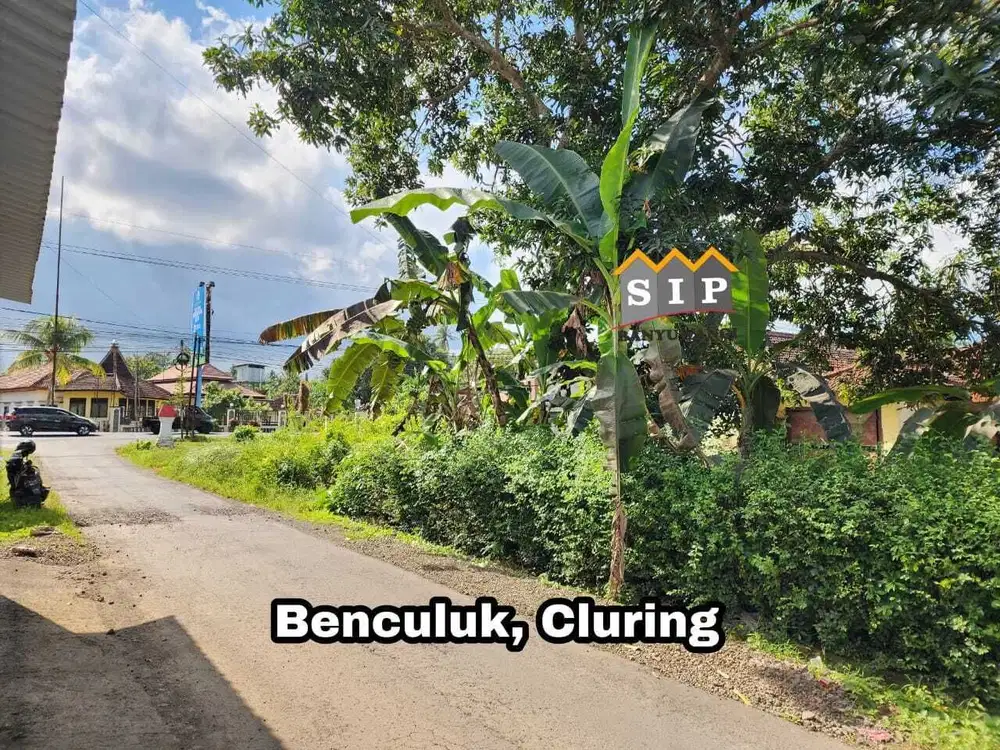 Dijual Tanah dan Bangunan 20 meter jalan provinsi Benculuk Cluring Bwi