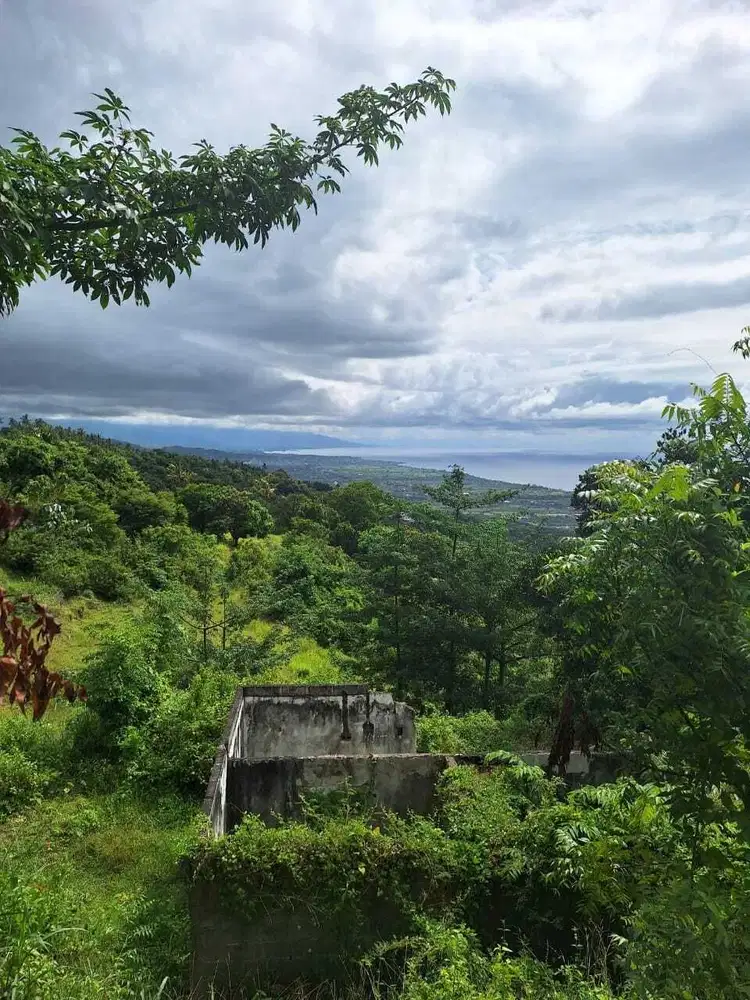 FREEHOLD LAND FOR SALE – LOVINA HILL Bali