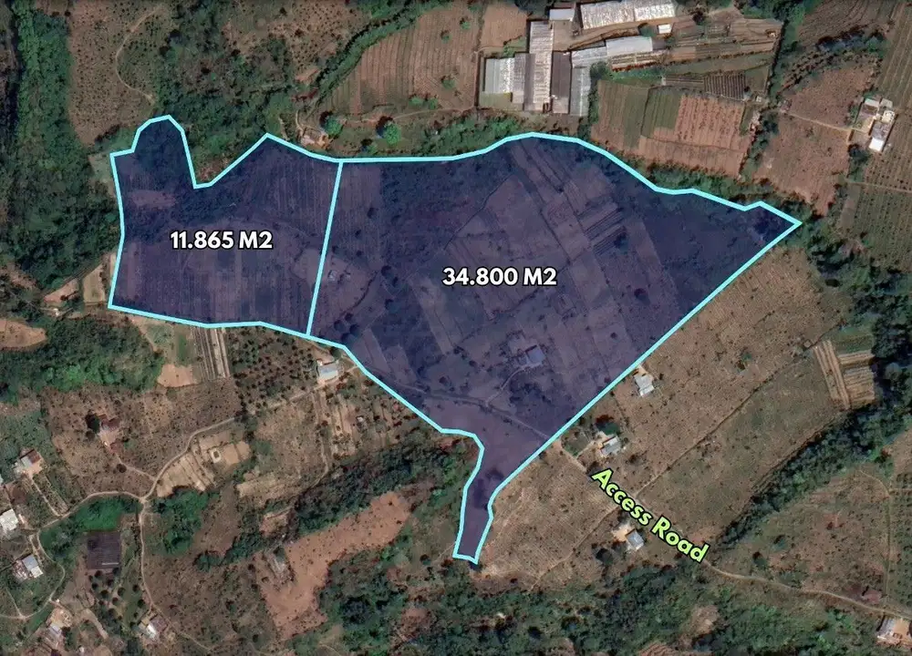 46665 sqm land with natural spring for sale in Munduk, Buleleng