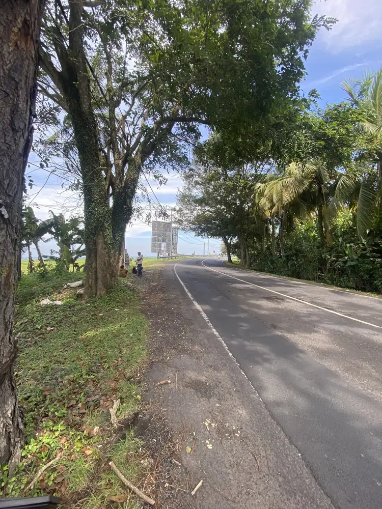 Jual tanah jalan raya gilimanuk denpasar di jembrana