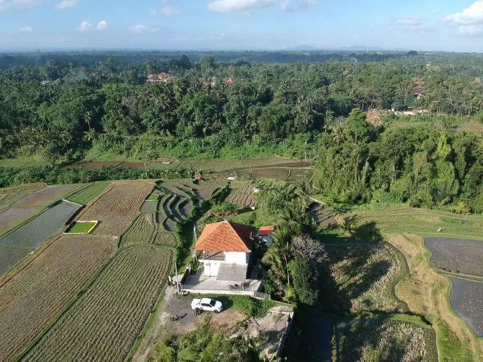 Tanah View Sawah Aspek Perumahan Dekat Ubud