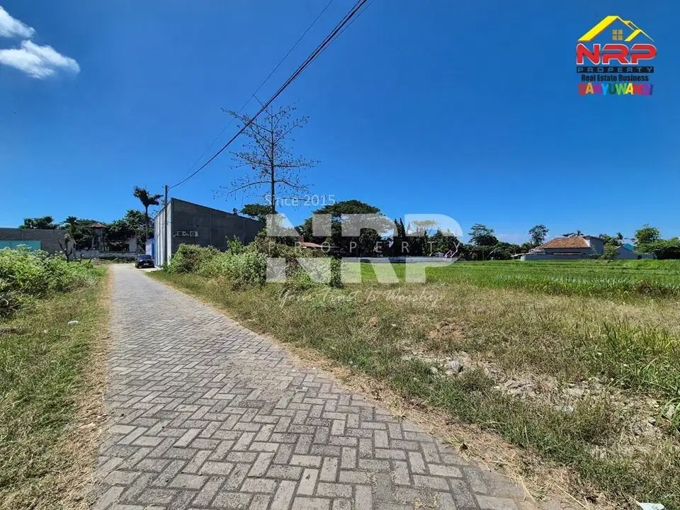 Dijual Tanah Murah 1 Jutaan Per Meter di Singotrunan - Banyuwangi