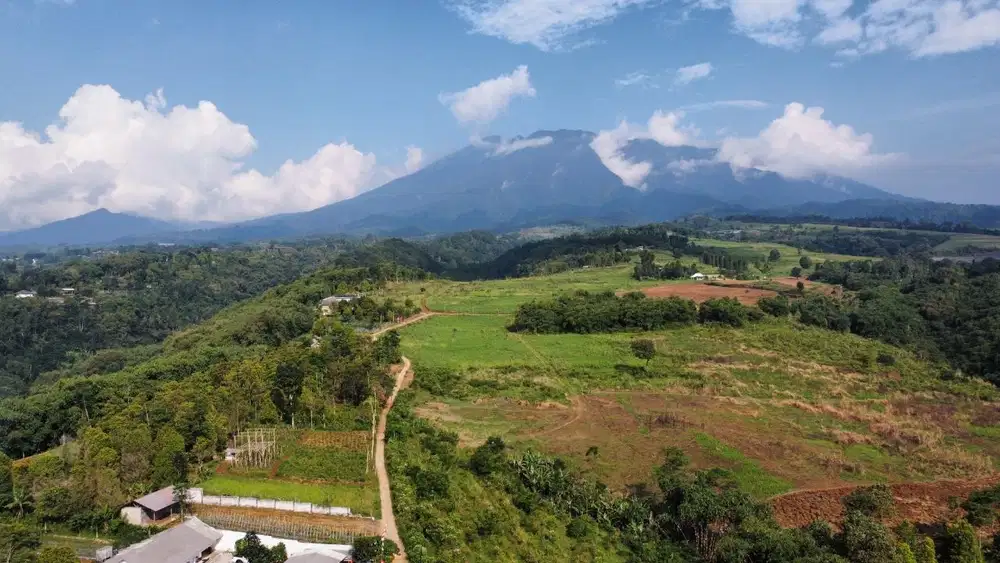 Jual Tanah SHM di Ciawi Puncak Bogor Akses dekat Tol