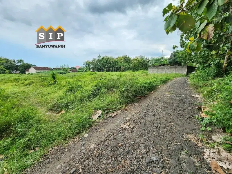 Dijual tanah kavling siap bangun di pusat kota rogojampi