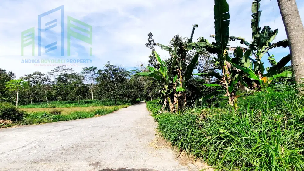 Tanah murah pingir jalan desa di jual di boyolali