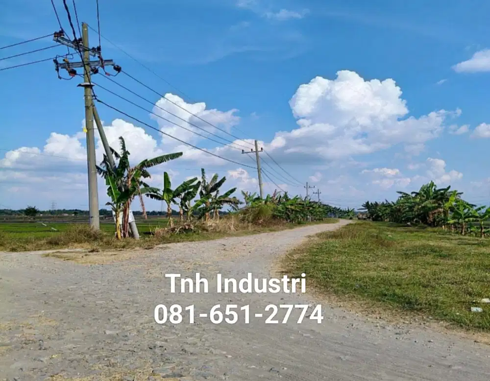 Tanah Industri di Ngawi