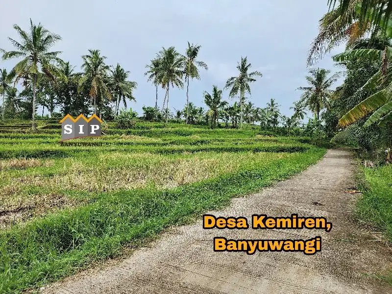 Dijual Tanah Hook kawasan Villa dan Resto di Kemiren Banyuwangi