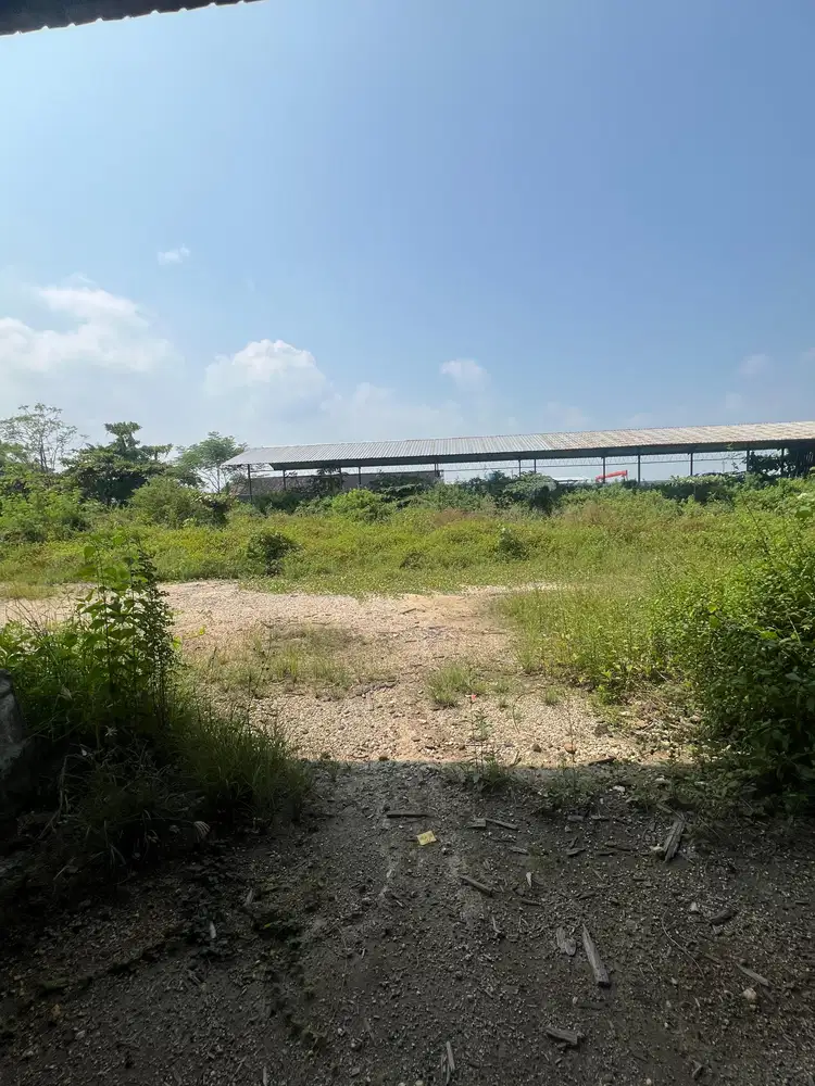 Dijual dan Disewakan Gudang Luas Lokasi Trengguli Demak